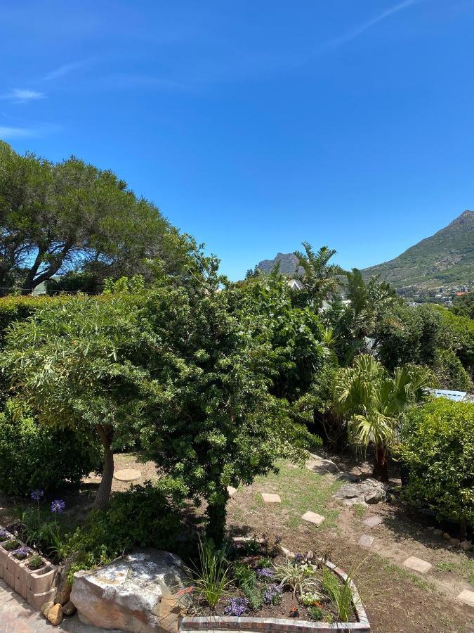 Willa Cosy And Unique Family Retreat In Hout Bay Kapsztad Zewnętrze zdjęcie